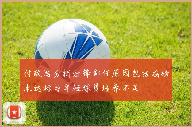 付政浩分析杜锋卸任原因包括成绩未达标与年轻球员培养不足