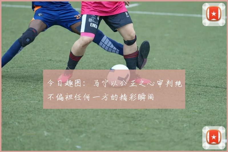 今日趣图：马宁以公正之心审判绝不偏袒任何一方的精彩瞬间